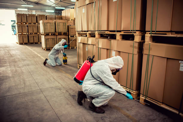 Best Best Pest Control Companies  in Island City, OR
