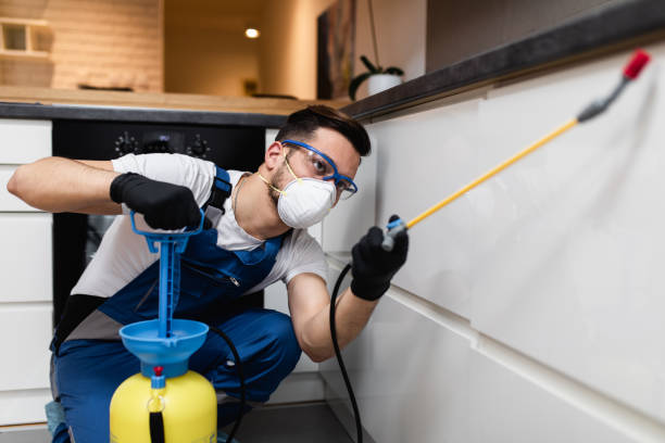 Best Pest Control for Businesses  in Island City, OR