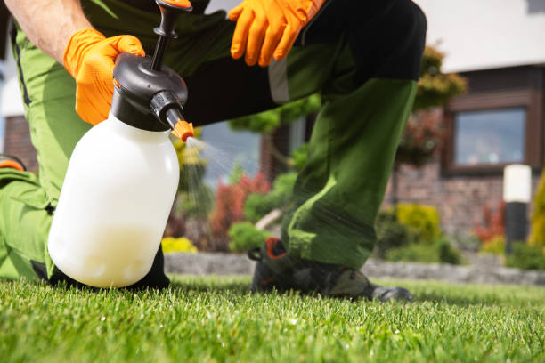 Best Pest Control for Homes  in Island City, OR