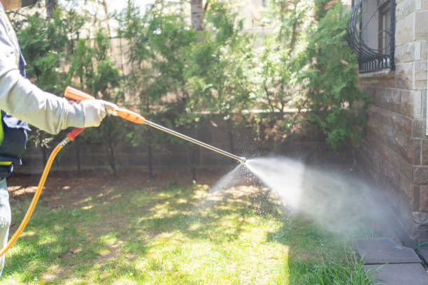 Best Wasp Removal Services  in Island City, OR