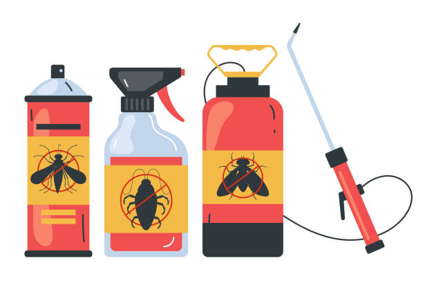 Best Ant Control Services  in Island City, OR