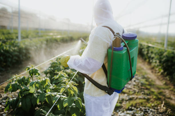 Best Emergency Pest Control  in Island City, OR